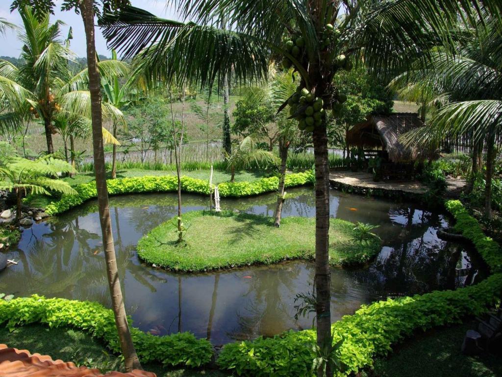 Hotel Omah Apik Ubud Exterior foto