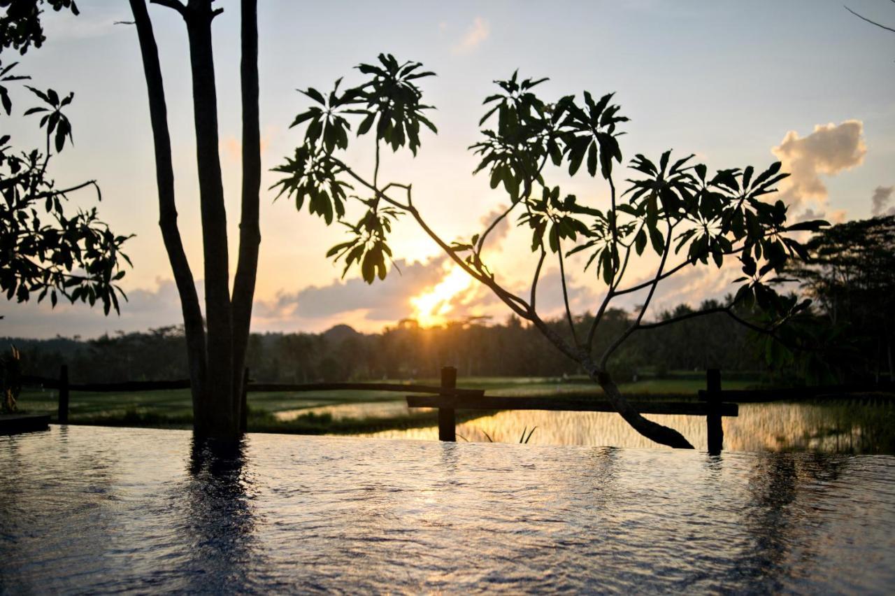 Hotel Omah Apik Ubud Exterior foto