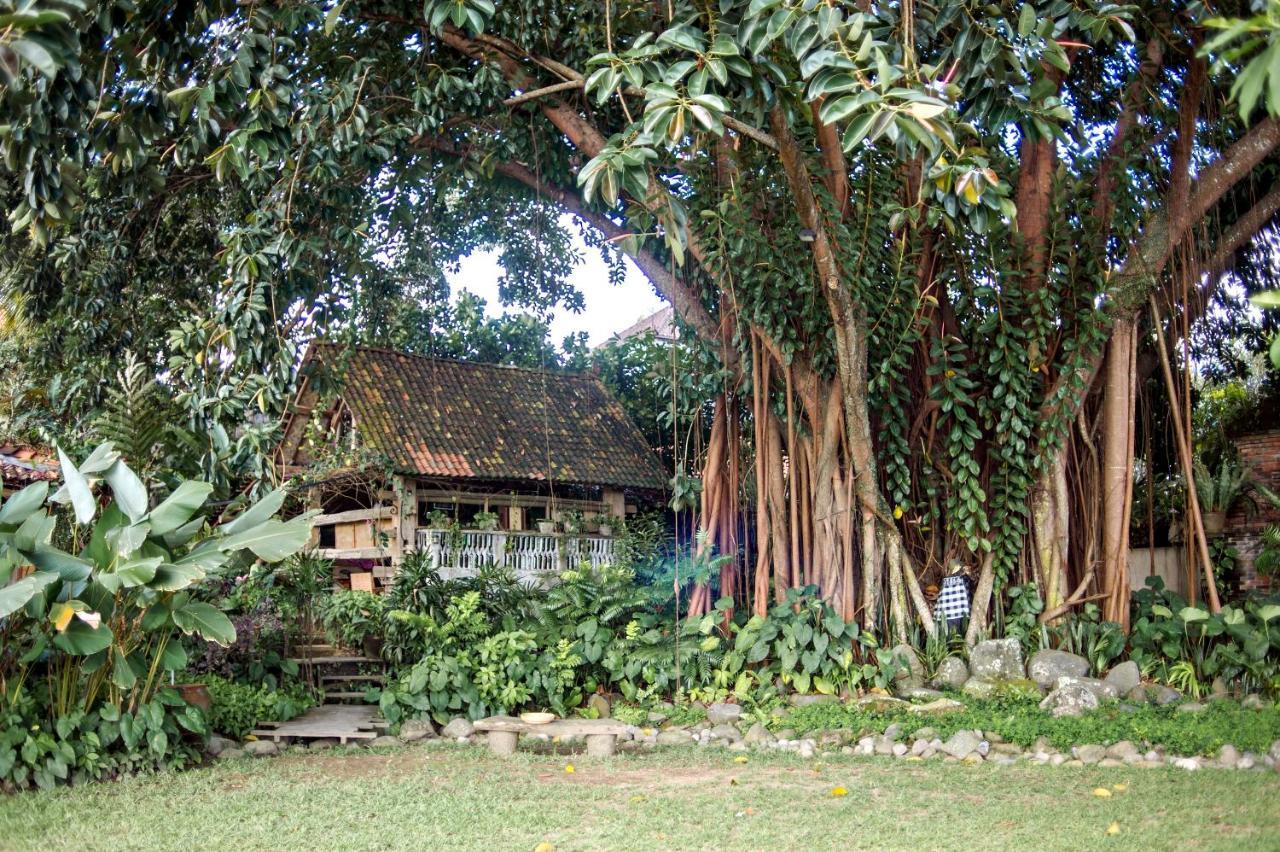 Hotel Omah Apik Ubud Exterior foto