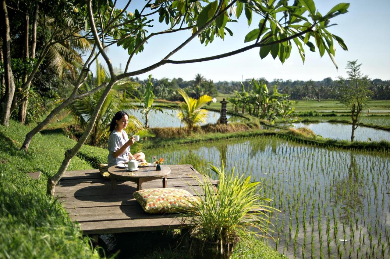 Hotel Omah Apik Ubud Exterior foto